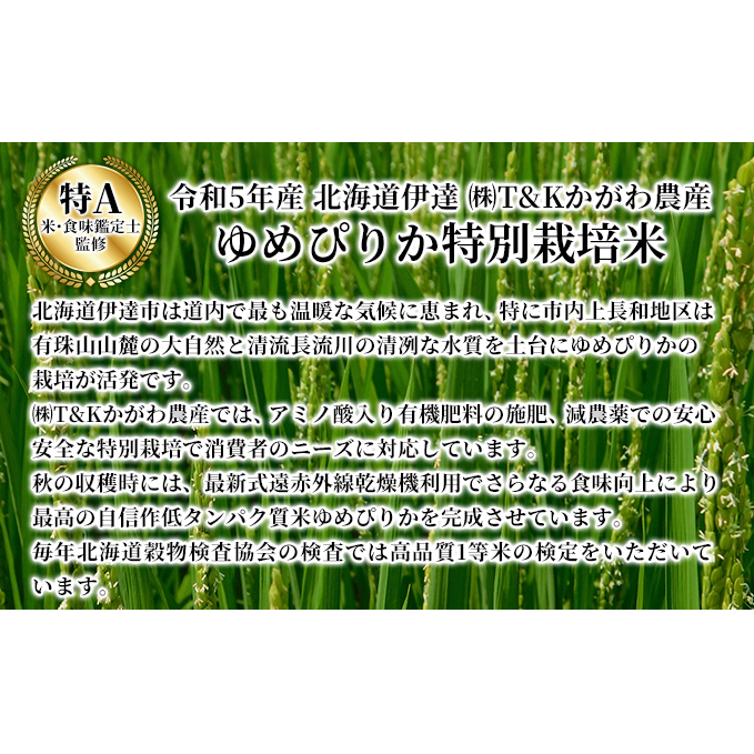 6ヵ月 定期便 北海道 伊達産 ゆめぴりか 10kg 精米