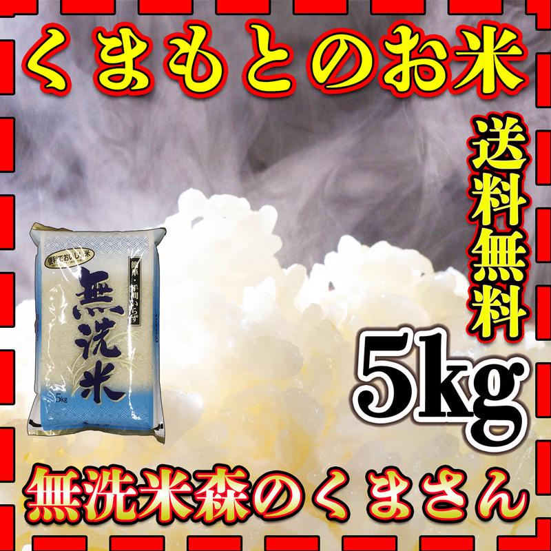 お米 米 5kg 白米 送料無料 無洗米 熊本県産 森のくまさん あすつく 新米 令和5年産 5kg1個 くまもとのお米 富田商店 とみた商店