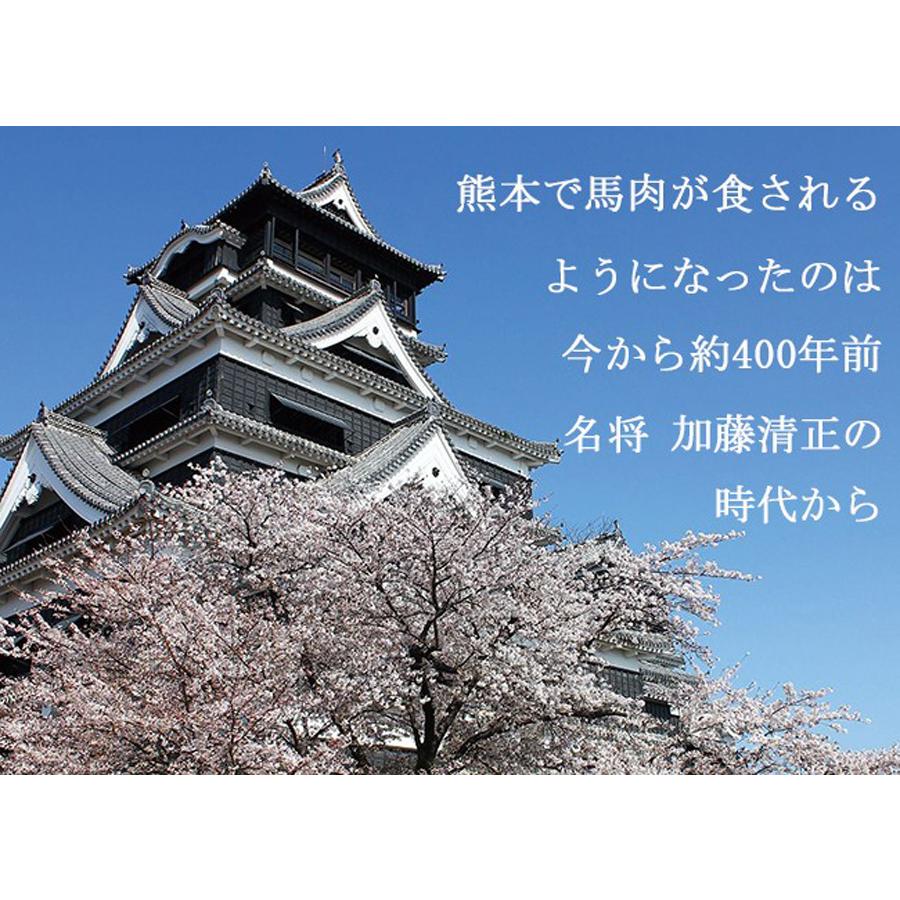 お歳暮 馬刺し 熊本 国産 お試し跳ね馬セット 初回限定 霜降り赤身 タテガミ