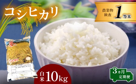 お米 コシヒカリ 白米 3回定期 10kg×3回