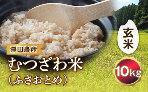 令和5年産米 むつざわ米（ふさおとめ）玄米 10kg 澤田農産 F21G-169