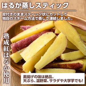 ふるさと納税 akune-1-12 100日熟成！鹿児島県産紅はるか・焼き芋と蒸しスティック(各500g×各1袋)国産 さつまいも 芋 サツマイモ さつ.. 鹿児島県阿久根市