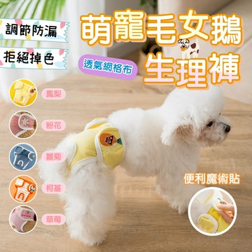 【快速出貨】母犬萌寵生理褲 母犬專用 尿布 生理褲