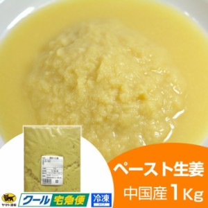 冷凍 ペースト生姜 1kg 中国産