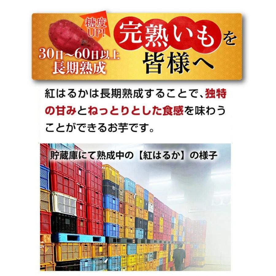 さつまいも 紅はるか A品 生芋 Sサイズ80g〜130ｇ土つき 鹿児島 産地直送 3kg×1箱 送料無料 S常