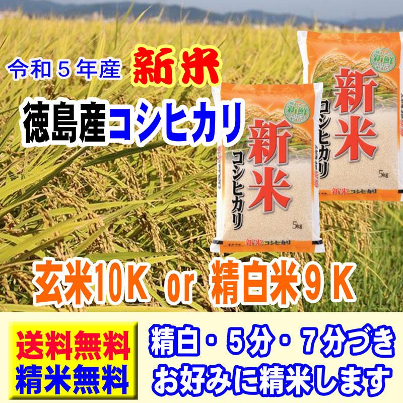 新米 令和5年産 徳島産 コシヒカリ 10kg (5kg×2袋） 阿南地区指定米 送料無料 玄米 白米 7分づき 5分づき 3分づき オーダー精米