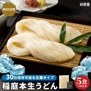 送料無料 稲庭本生うどん 5食（本生うどん＆比内地鶏濃縮めんつゆ）