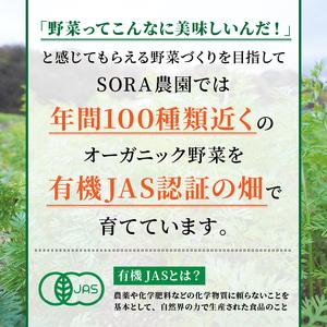 ふるさと納税 SORA農園 有機野菜セット（12種前後）冬季　＜京野菜・西洋野菜などオーガニック野菜セット＞ 京都府京丹後市