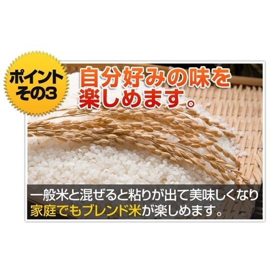 令和４年　特別栽培米　岐阜県産 ミルキークイーン 白米１０Kg（分搗き可） 北海道・沖縄・離島は追加送料