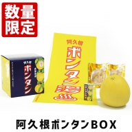 akune-2-42 ＜先行予約受付中！2023年12月中旬以降発送予定＞数量限定！阿久根ボンタンBOX(青果ボンタン、ボンタン漬け、ボンタンアメ、手ぬぐい)国産 お菓子 おやつ2-42