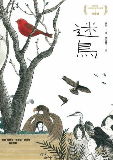 【電子書】迷鳥