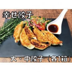 幸せ餃子のこだわり大・中餃子(各1箱)