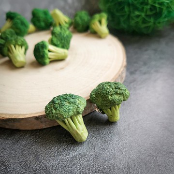 純素西蘭花別針和耳環  純素胸針植物愛好者的有趣珠寶