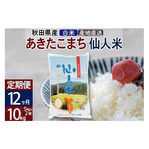 ふるさと納税 秋田県 東成瀬村 新米 令和5年産 あきたこまち 秋田県産「仙人米」白米 10kg（5kg×2袋）