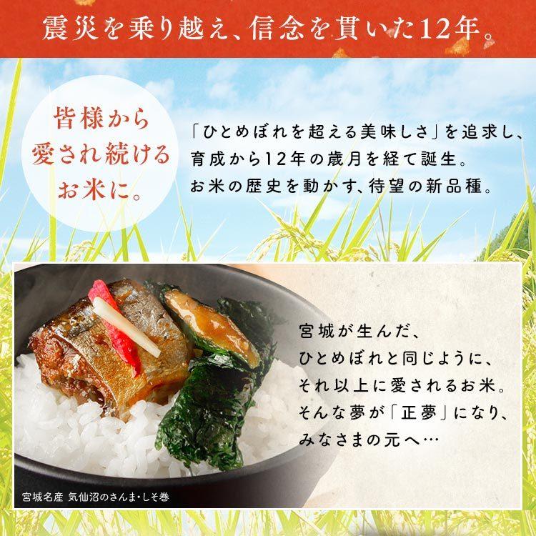 米5kg 送料無料 無洗米 宮城県産 だて正夢 米 5kg お米 令和4年産 白米 アイリスオーヤマ