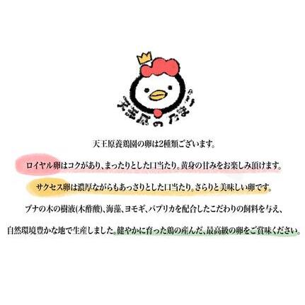 ふるさと納税 ロイヤル卵160個入り 茨城県常総市