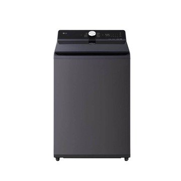 【LG 樂金】20公斤 AI DD 蒸氣直驅變頻洗衣機 夜墨灰 WT-TD20HG
