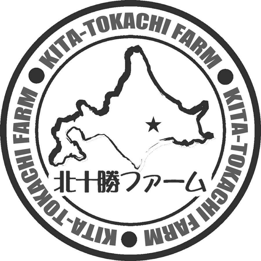 北海道 北十勝ファーム 短角牛カレー A