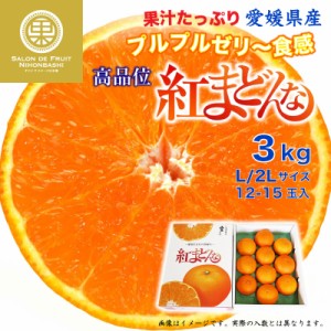 [予約 12月31日必着] 紅まどんな 3kg L 2L 愛媛県 化粧箱 冬ギフト お歳暮 御歳暮 大晦日必着