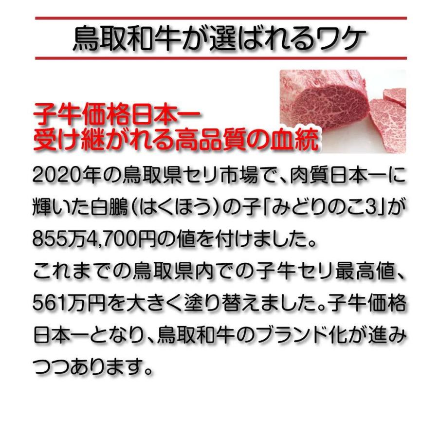 牛肉 ステーキ 国産 鳥取和牛 オレイン55 ヒレステーキ 肉  焼肉 300g (150g 2枚入) 鉄板焼き BQQ バーベキュー 鳥取県産 ギフト