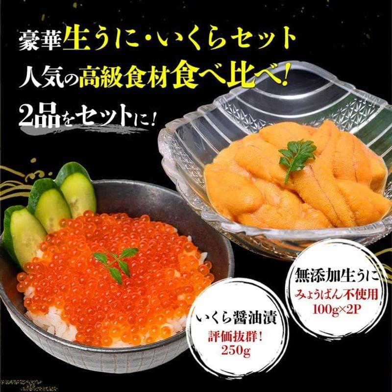 食の達人 無添加 生うに 200g いくら 250g 食べ比べセット 2~5人前 みょうばん不使用 サーモントラウトいくら 詰め合わせ