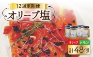 オリーブ塩＆オリーブレモン塩 セット（各2個）計48個  オリーブ 塩 ソルト salt lemon olive 調味料 レモン 長崎 ＜ゆきのヶ丘オリーブ園＞ [EAV017]