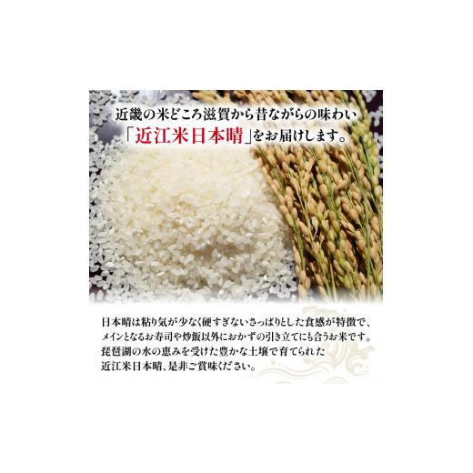 ふるさと納税 滋賀県 竜王町 令和5年産 日本晴 10kg 全12回 近江米 新米 米粉 200g付