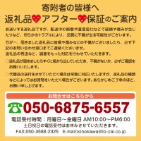 てんかけラーメン6個 玉林園《90日以内に順次出荷(土日祝除く)》 和歌山県 紀の川市 ラーメン 天かす