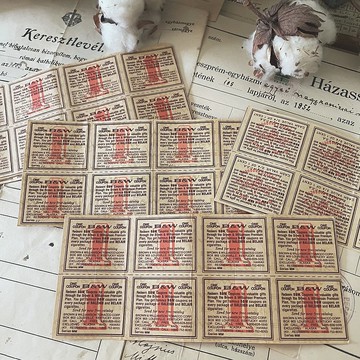 特殊款 美國coupon 大票券