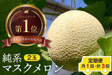 純系マスクメロン２玉：2024年４～６月発送分