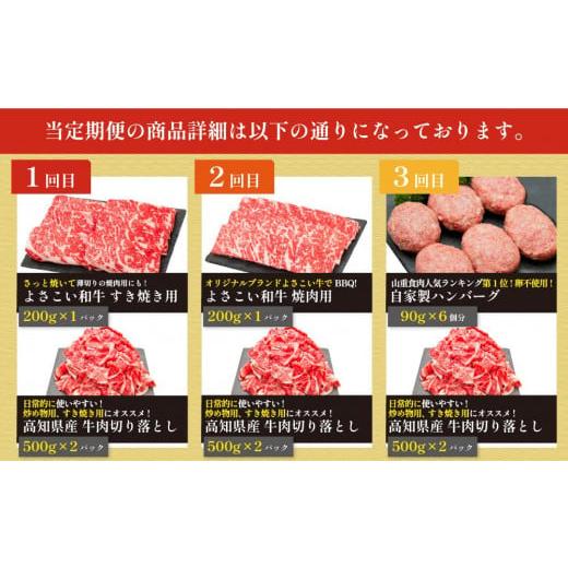 ふるさと納税 高知県 高知市 お肉の定期便　たっぷり牛肉尽くしセット(3か月)