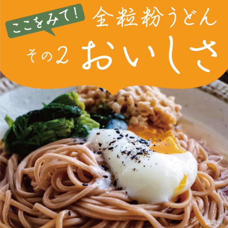 MUG-1 全粒粉100%国産小麦をまるご細うどんお試しセット(麺のみ) 送料無料 讃岐うどん 乾麺 全粒粉 香川 石丸製麺公式