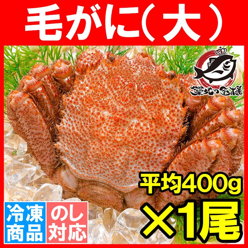 毛ガニ 毛がに 毛蟹 浜茹で 毛ガニ姿 平均 400g ×1尾