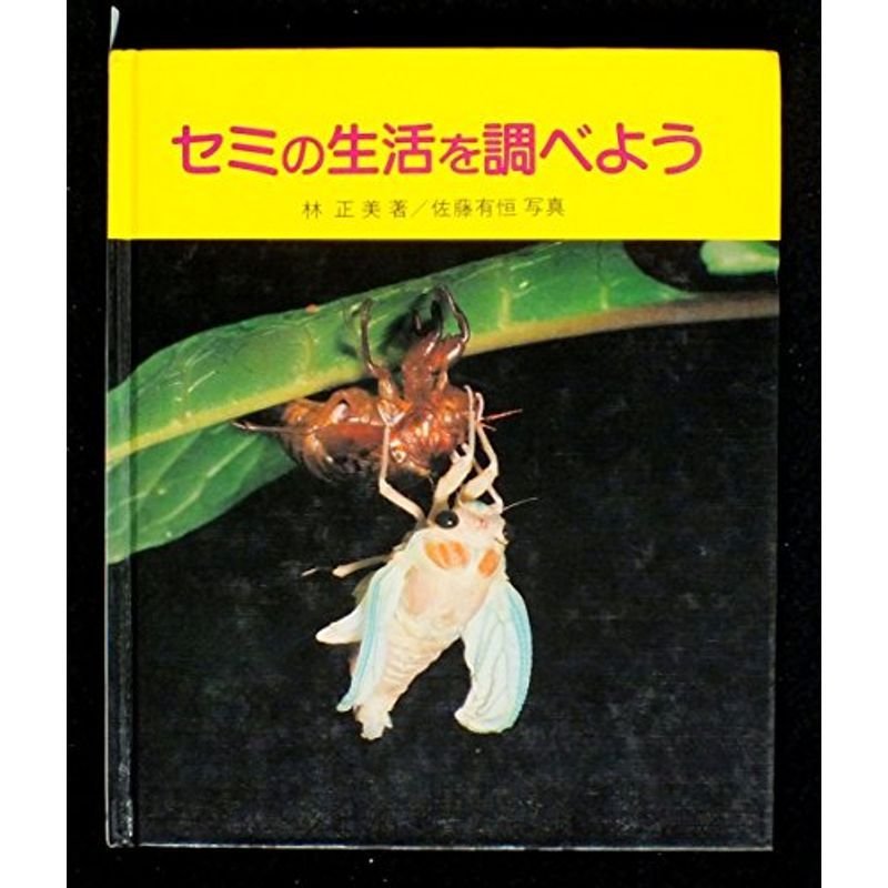 セミの生活を調べよう (やさしい科学)