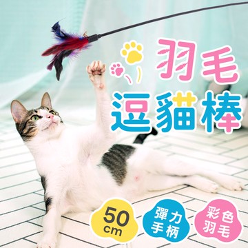 逗貓棒 貓玩具 貓咪玩具 寵物玩具 逗貓玩具 逗貓 貓咪用品 貓用品 寵物用品 逗貓神器 逗貓羽毛 羽毛棒【X004】