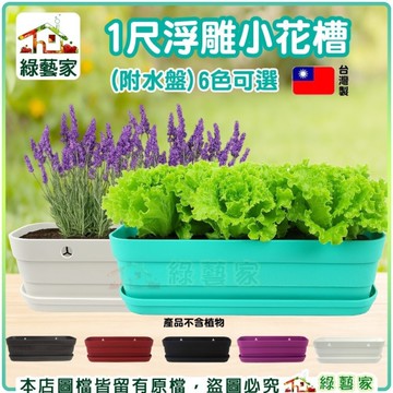 【綠藝家】【綠藝家】1尺浮雕小花槽(附水盤)共有6個顏色可選 1尺彩盆 壁掛盆 蔬菜盆 多肉植物盆