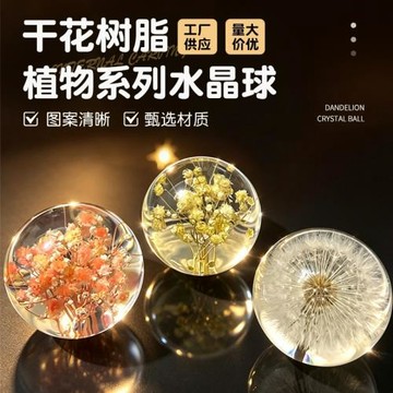 創意蒲公英干花標本水晶球樹脂天然木質工藝品擺件家居裝飾品禮物