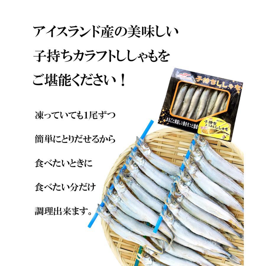 子持ち カラフト ししゃも 24尾 2箱 プレゼント ギフト お歳暮 御歳暮 2023 シシャモ