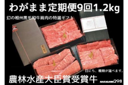 肉 定期便　 幻の相州黒毛和牛肩肉 1.2kg 年に9回お届け！