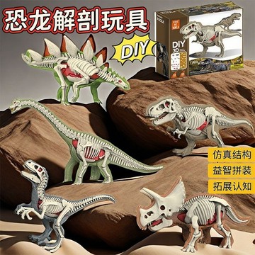 恐龍解剖玩具 3D立體骨骼拼圖 六款可選 暴龍滄龍 兒童生物科普模型 益智玩具