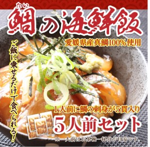 ご飯に乗せるだけで食べられる！ 鯛の海鮮飯 60g×5袋 海鮮セット 鯛めし お茶漬け 鯛 切り身 ごはん gd41