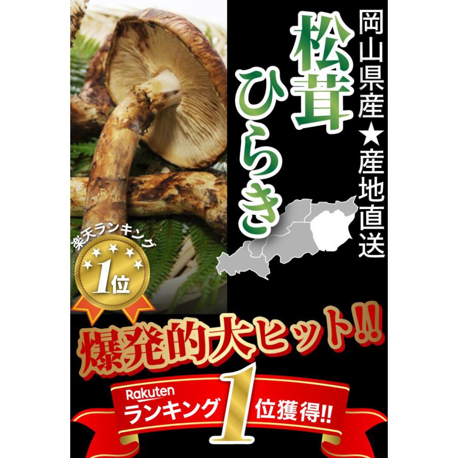 2024年分予約 国産 松茸 ひらき 約700g 3〜10本程度 まつたけ マツタケ 岡山 ギフト SSS 10j