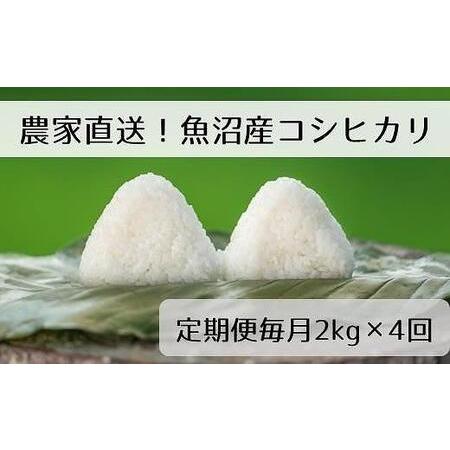 ふるさと納税  精米2kg　新潟県魚沼産コシヒカリ「山清水米」 新潟県十日町市