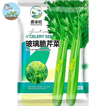 【原廠包裝】玻璃脆芹種子（Glass Crisp Celery）台灣現貨｜清脆多汁｜陽台盆栽｜家庭菜園｜有機種植快速採收