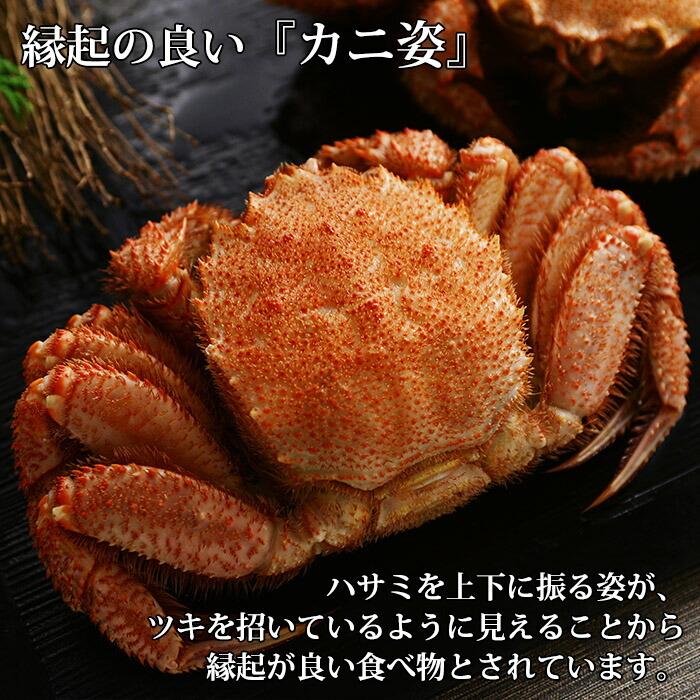 蟹 ギフト カニ 毛ガニ 姿 800g かに ボイル 北海道 毛蟹 特大 蟹味噌 食べ物