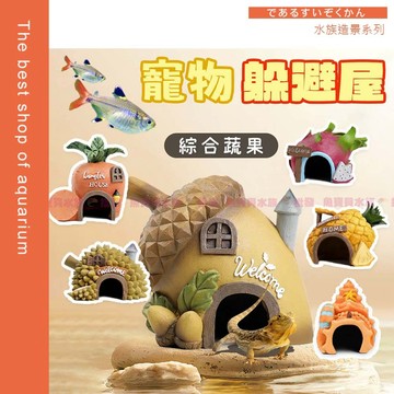 魚寶貝【水族💦特殊造型 寵物躲避洞】〞魚缸裝飾 水族 爬寵躲避洞 倉鼠 守宮 烏龜 魚蝦躲避 躲避洞 兩棲爬蟲 蜥蜴