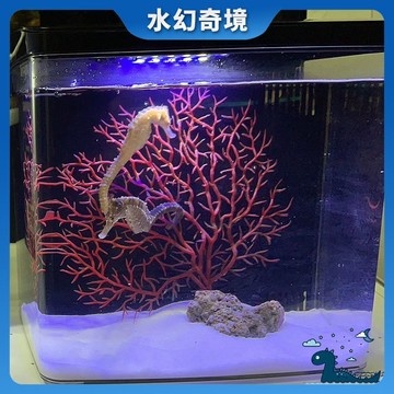 【水幻奇境】PVC仿真鐵樹 仿真珊瑚樹 水族箱飾品 海鐵樹 水族造景 海底珊瑚樹 珊瑚樹枝 水族裝飾擺件 海底世界