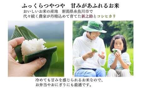 令和5年産新米 農家自慢のお米食べ比べ『新之助・コシヒカリ』各2kg 計4kg×6回 特別栽培米』毎月お届け 計24kg 家族みんなで愛情かけて育てた米 新潟県糸魚川産 2023年 こしひかり しんのすけ