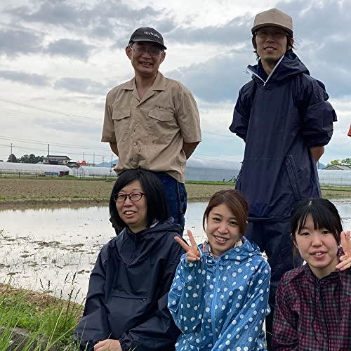 水菜土農園新米 宮城県産 ひとめぼれ 10kg (5kg×2袋) 令和5年産 古代米お試し袋付き