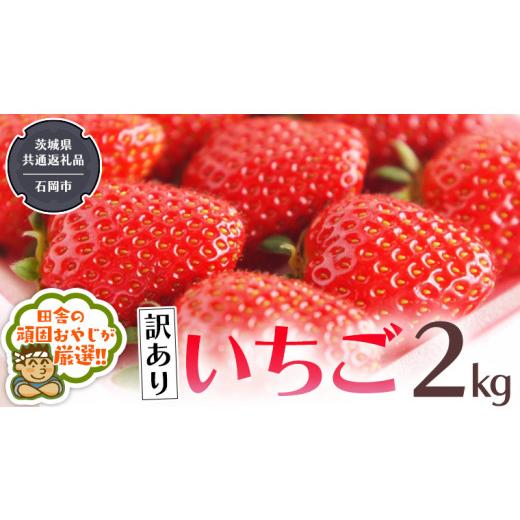 ふるさと納税 茨城県 つくばみらい市 いちご 2kg （県内共通返礼品：石岡市産） いちご 苺 イチゴ 訳あり